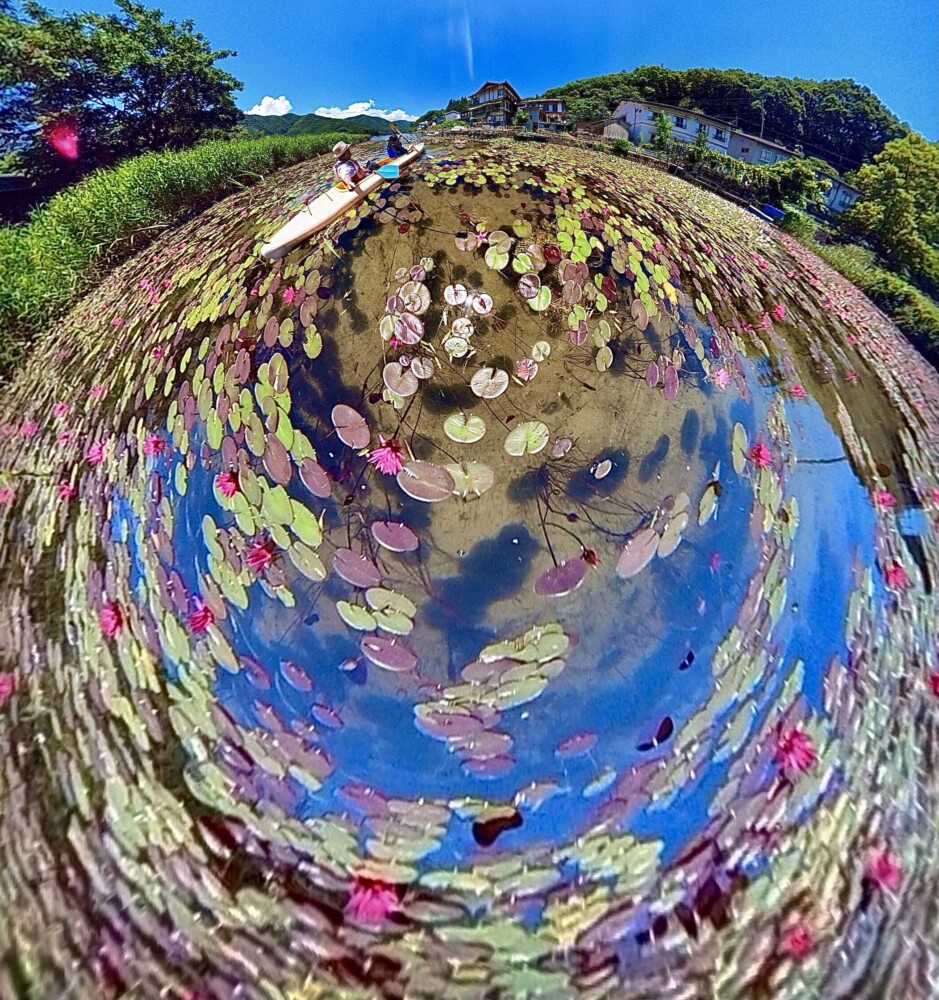 今月の1枚写真